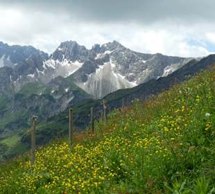 Panoramaweg Oy-Mittelberg
