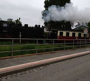 Die Molli fährt von Bad Dobberan ab