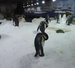 Besonders die Kinder hatten viel Spaß