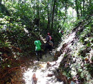 Der Ritt zum Wasserfall