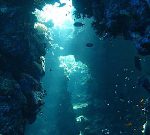 Höhle in Elphinstone