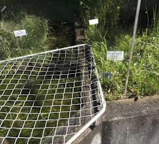 Botanischer Garten der Universität Zürich