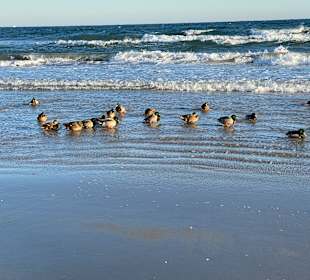 Strand Binz auf Rügen