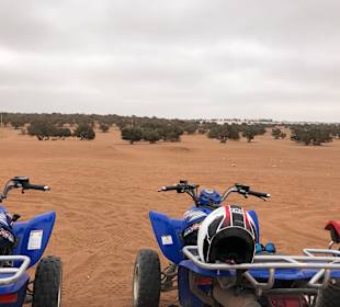 Quad Tour Agadir