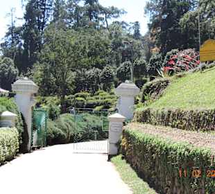 Botanischer Garten Hakgala