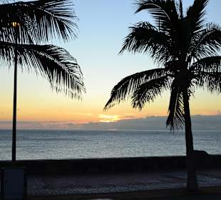 Meloneras gran canarias 