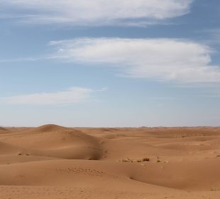 Sahara