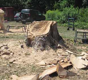 Kreativ Kettensägen am Rhein