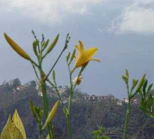 Madeira Lido Osten-Tour 