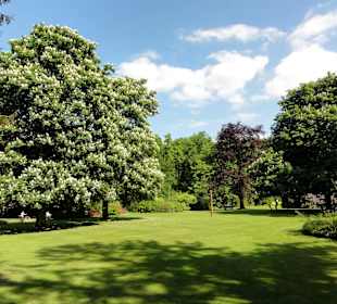 Spaziergang durch den Kurpark