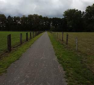 Dorsten Hardt Uferseite Weg durch die Auen 