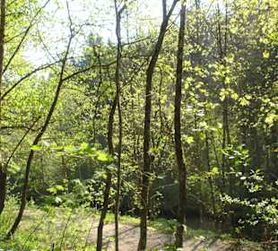 Sonnige Lichtreflexe