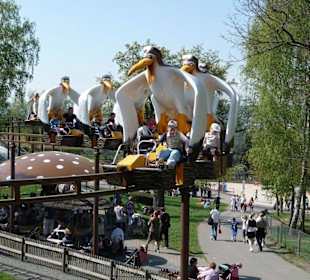 Albatrossbahn
