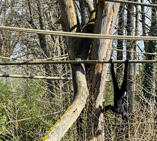 Tiergarten Straubing