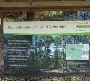 Waldkulturerbe Neuweiler Viehweide