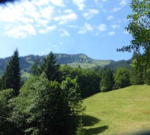 Bei einer Wanderung vom Söllereck zum Freibergsee
