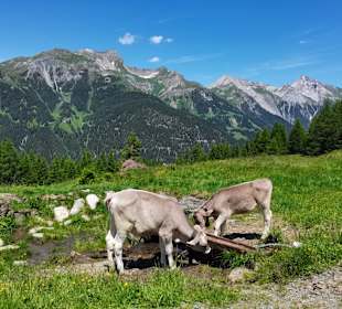 Wandern Verwall St. Anton am Arlberg