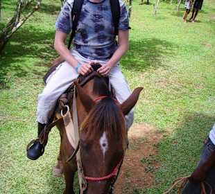 Per Pferd zum Wasserfall