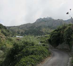 Kleine Wanderung auf den Epomeo