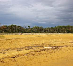 Dahinter Naturschutz