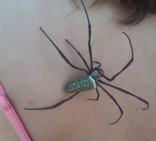 Überwindung geglückt!