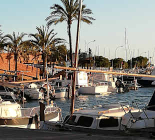 Yachthafen Alcudia