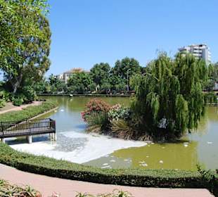 Park