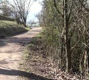 Hirschauer Spitzbergwegle (Premiumspazierwanderweg