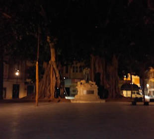 Baum