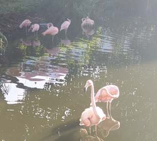 Tour & Ausflug Bayahibe