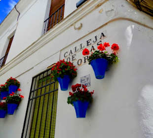 Calleja de las Flores