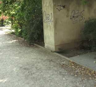 Brühlsche Terrasse