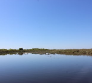 Everglades