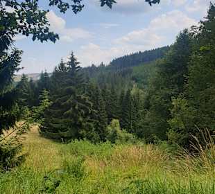 Wandern Oberwiesenthal