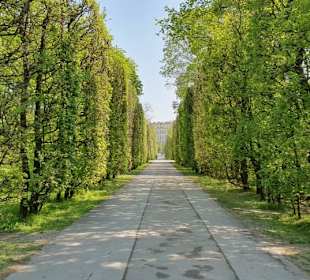 Augarten