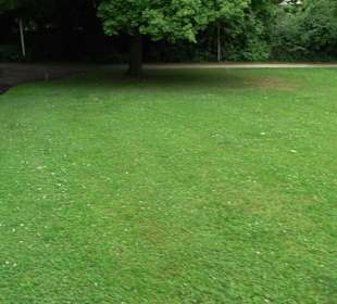 Kollmannspark