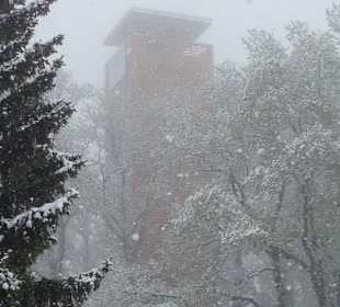 Der Turm im Schneetreiben