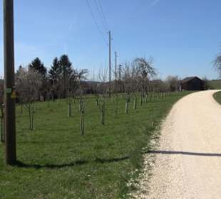 Premiumwanderweg "hochgeblickt"