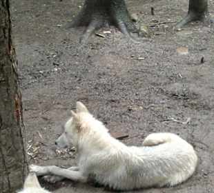 Zoo Olomouc