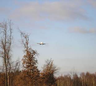 Airport
