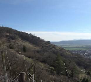 Hirschauer Spitzbergwegle (Premiumspazierwanderweg