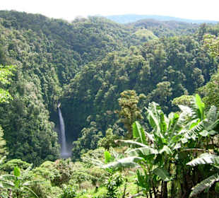 Blick über den Dschungel mit Wasserfall