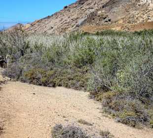 Impressionen aus dem Vega de Rio Palmas
