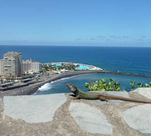 Blick auf Lago Martianez