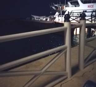 Marina 5. Essen direkt am Meer.