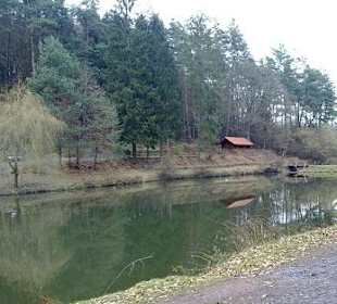 Paddelweiher Hütte im Winter