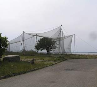 Vogelstation Windenburger Ecke