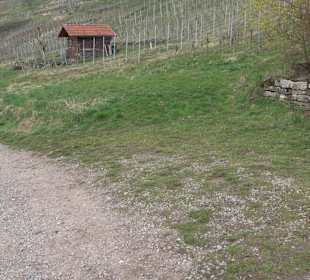 Unterjesinger Wengertwegle