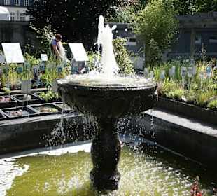 Brunnen