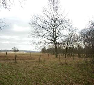 Naturschutzgebiet Boberger Niederung